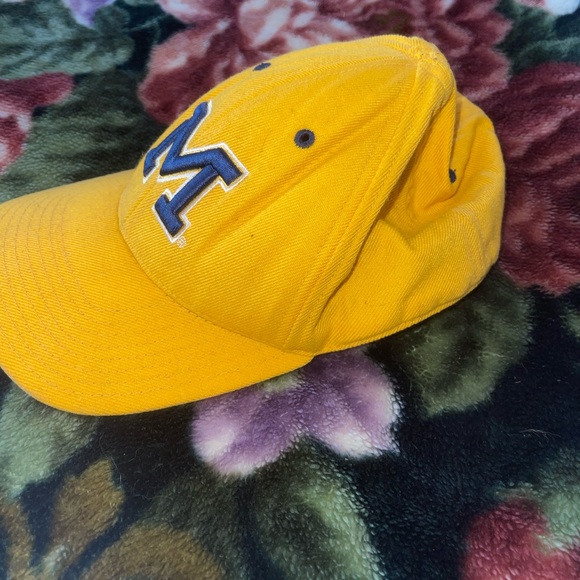 Mens Michigan State Baseball Cap - Picture 2 of 5